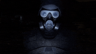 a person wearing a gas mask with a hood on