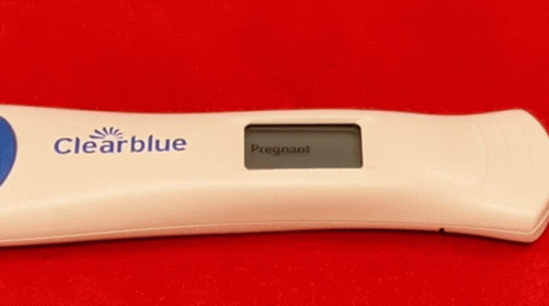 Sml Pregnancy Test GIF - Sml Pregnancy Test Pregnant GIFs