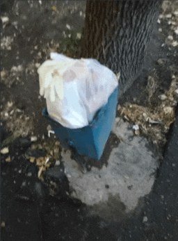 a blue trash can filled with gloves sits on the ground