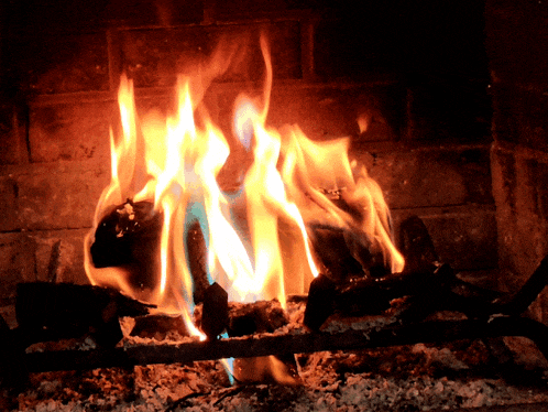 a fire burns in a fireplace with the letter n visible