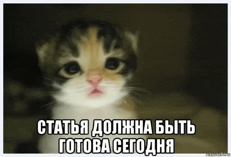 a cat with a sad look on its face and the words in russian