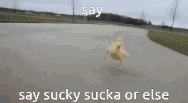 a duck is running down a road with the words say sucky sucka or else on the bottom .