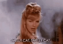 Smelly Cat GIF - Smelly Cat GIFs