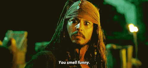 You Smell Funny GIF - You Smell Funny Pirates Of The Carribean Jack Sparrow GIFs