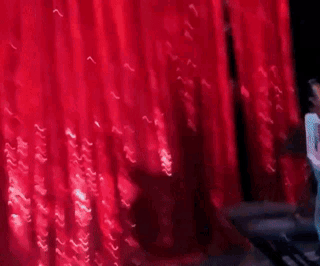 a woman standing in front of a red curtain