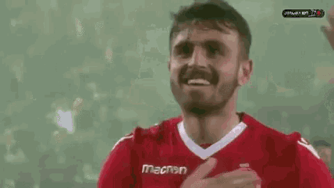 a soccer player in a red jersey is celebrating a goal while a crowd watches .