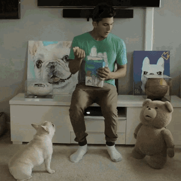 a man in a green shirt is sitting on a couch with two dogs and a stuffed bear