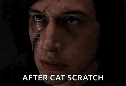 a close up of a man 's face with the words after cat scratch written below him