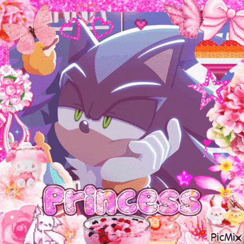 a picture of sonic the hedgehog with the word princess written on it