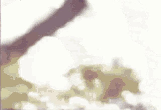 a blurred image of a person standing on a white surface .