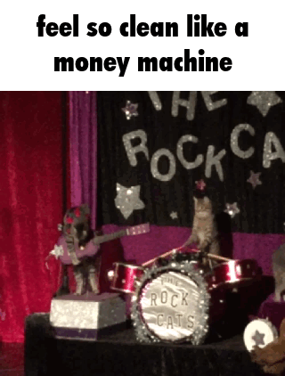 Feel So Clean Like A Money Machine Cats GIF - Feel So Clean Like A Money Machine Cats Cat GIFs