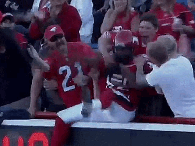 Calgary Stampeders Stampeders GIF - Calgary Stampeders Stampeders In The Crowd GIFs