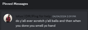 a screenshot of pinned messages on a website