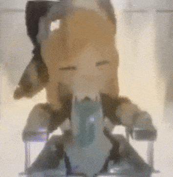 a close up of a person sitting on a chair with a dog behind them .