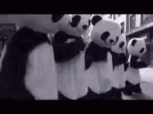 Panda Cute GIF - Panda Cute Dance GIFs