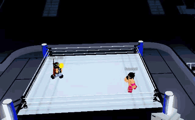 a video game shows two wrestlers in a wrestling ring with one of them having the letters x on his shirt