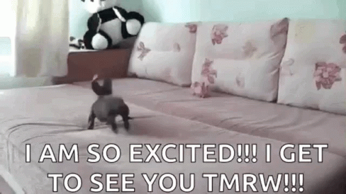 Excited To See You Cute GIF - Excited To See You Cute Happy GIFs