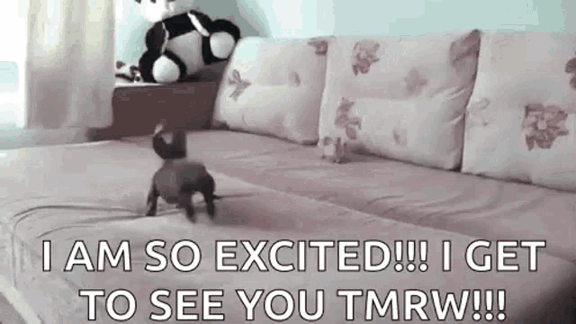 Excited To See You Cute GIF