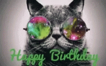 Happy Birthday Cat GIF - Happy Birthday Cat Cool GIFs
