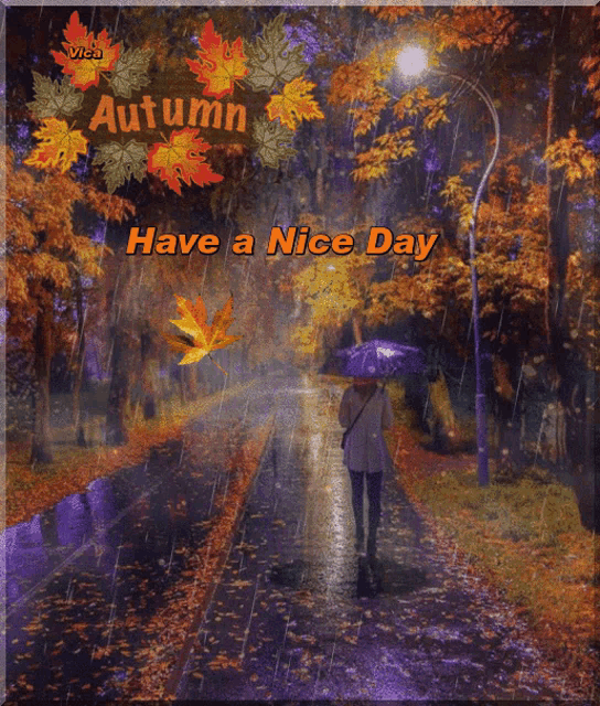 a picture of a woman walking in the rain with the words have a nice day