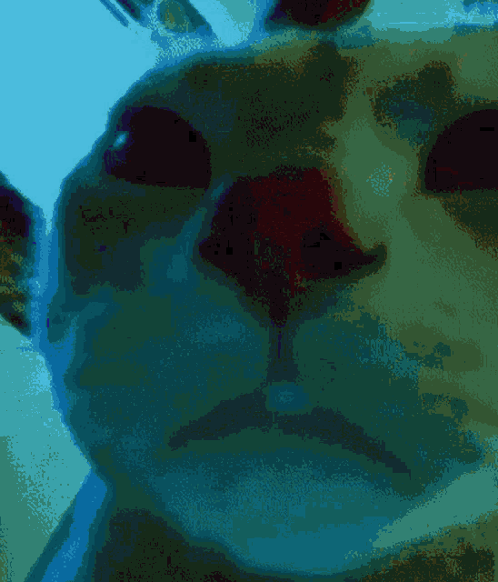 a close up of a cat 's face with blue background