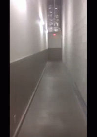 Creep Hallway GIF - Creepy Shortscarymovies GIFs
