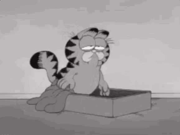 a cartoon of garfield sitting on a box with the words #exhausto written above him