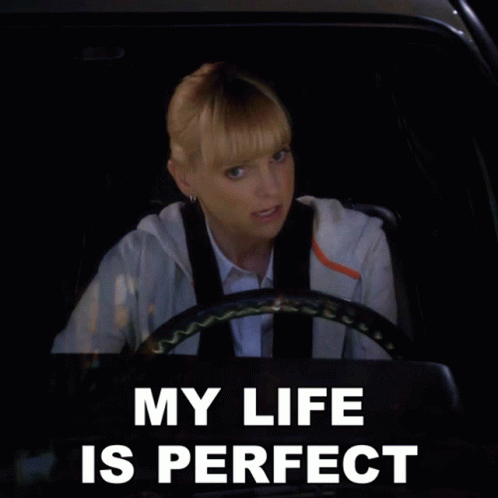 My Life Is Perfect Christy GIF - My Life Is Perfect Christy Anna Faris GIFs