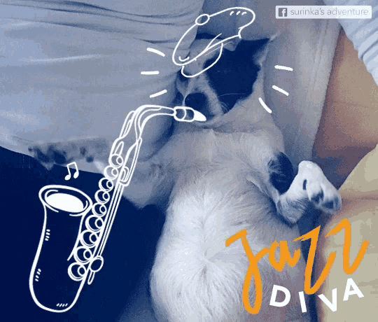 a drawing of a dog with a saxophone and the words jazz diva