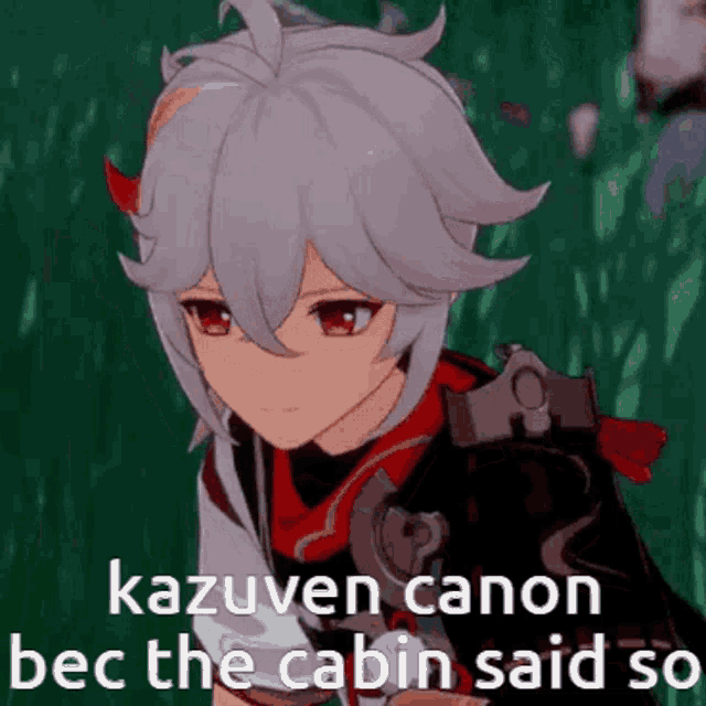 a screenshot of a video game character with a caption that says kazuven canon bec the cabin said so .