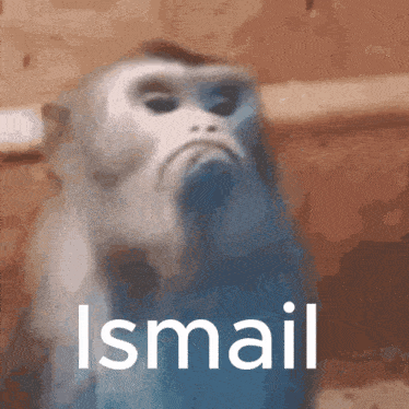 Ismail GIF - Ismail GIFs