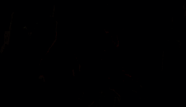 a woman in a black jacket is talking on a video call .