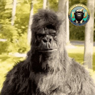 a picture of a gorilla with a coin that says " welcome you "