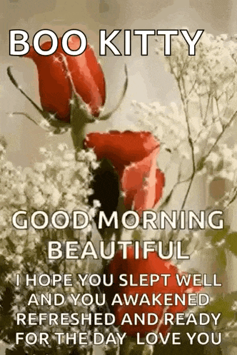 a boo kitty good morning beautiful i hope you slept well and you awakened refreshed and ready for the day love you .