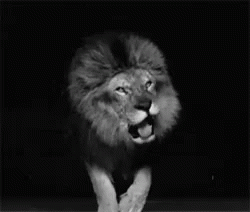 Leon Rugiendo GIF - Roar Lion King Of The Jungle GIFs