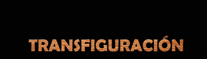 a black background with the word transfiguracion written in wood