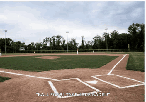 Volunteer Baseball GIF - Volunteer Baseball GIFs