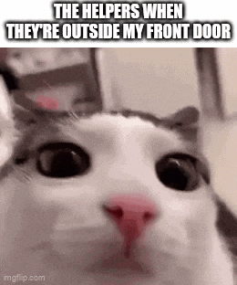 a close up of a cat 's face with the caption `` the helpers when they 're outside my front door ''