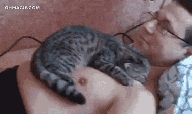 a man is laying in bed with a cat on his chest .