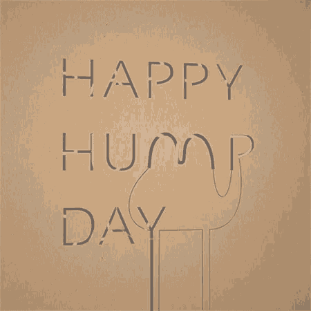 a brown background with the words happy hump day on it