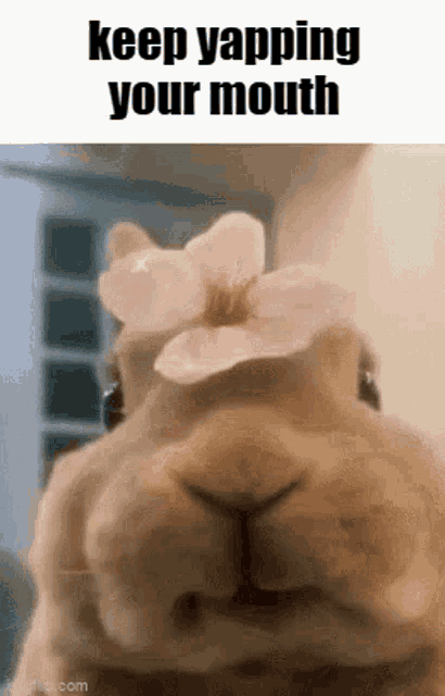 a rabbit with a flower on its head and the words `` keep yapping your mouth ''