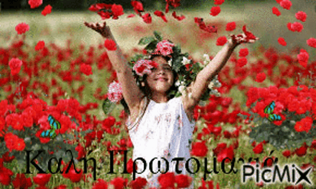 a girl in a field of red flowers with the word picmix on the bottom right