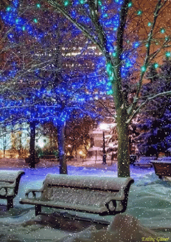 Snow Winter GIF - Snow Winter Christmas Lights GIFs