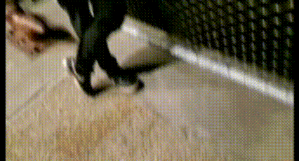 a close up of a person 's feet walking on a carpet