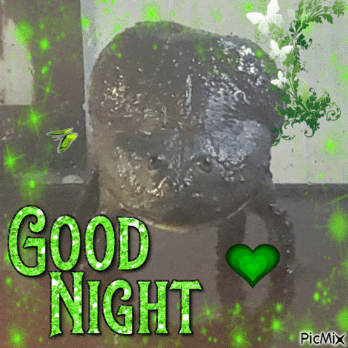 a picture of a frog with the words good night written on it