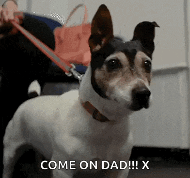 a dog on a leash says come on dad
