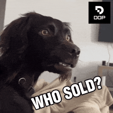 Who Sold Sell GIF - Who Sold Sell Dop GIFs