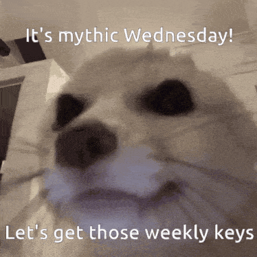 a dog says it 's mythic wednesday and lets get those weekly keys