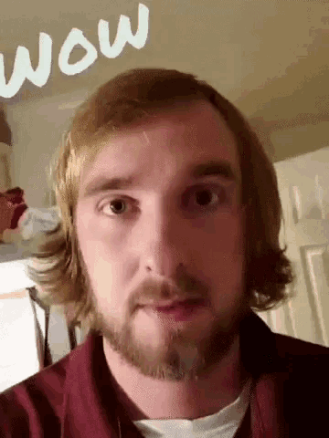 a man with long blonde hair and a beard is looking at the camera with the word wow behind him