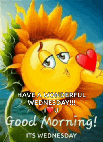 a picture of a sunflower with a smiley face and the words have a wonderful wednesday !!!